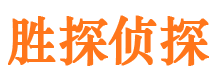 龙沙找人公司